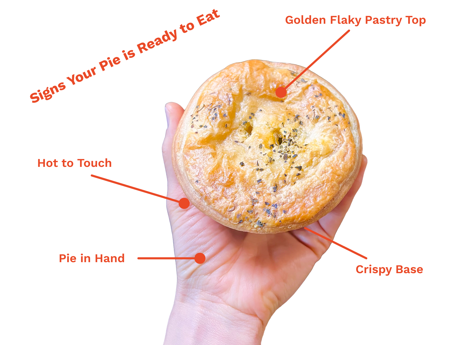 Perfect Australian meat pie picture